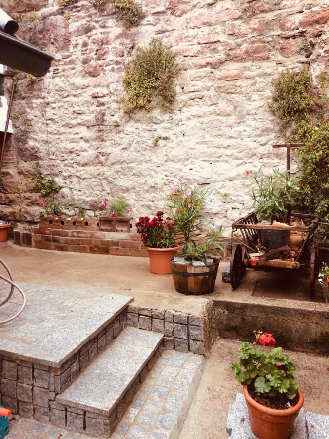 Neckarblick,Natur, Altstadt Hirschhorn Εξωτερικό φωτογραφία