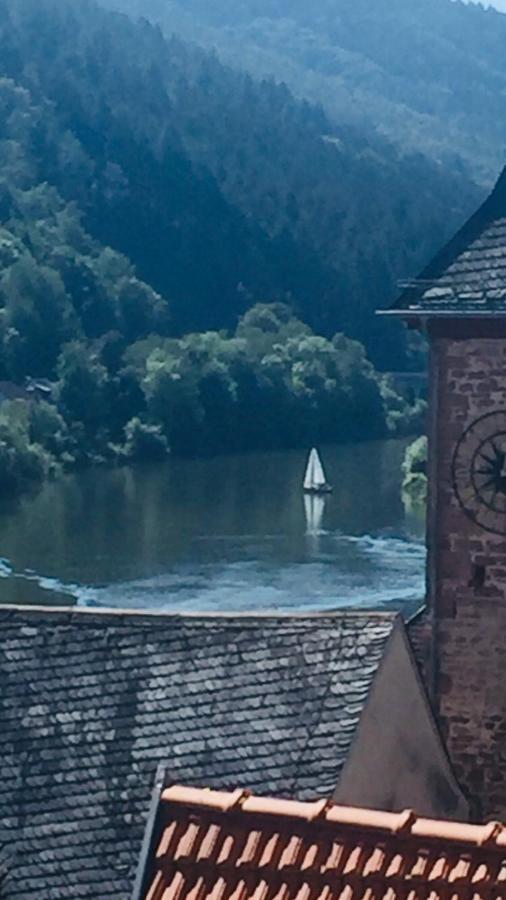 Neckarblick,Natur, Altstadt Hirschhorn Εξωτερικό φωτογραφία