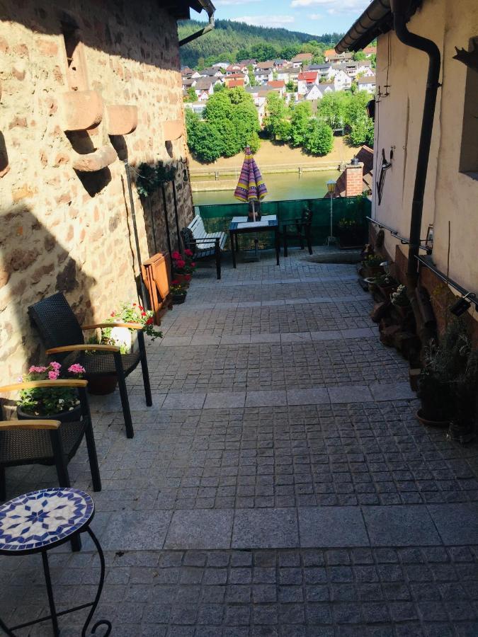 Neckarblick,Natur, Altstadt Hirschhorn Εξωτερικό φωτογραφία