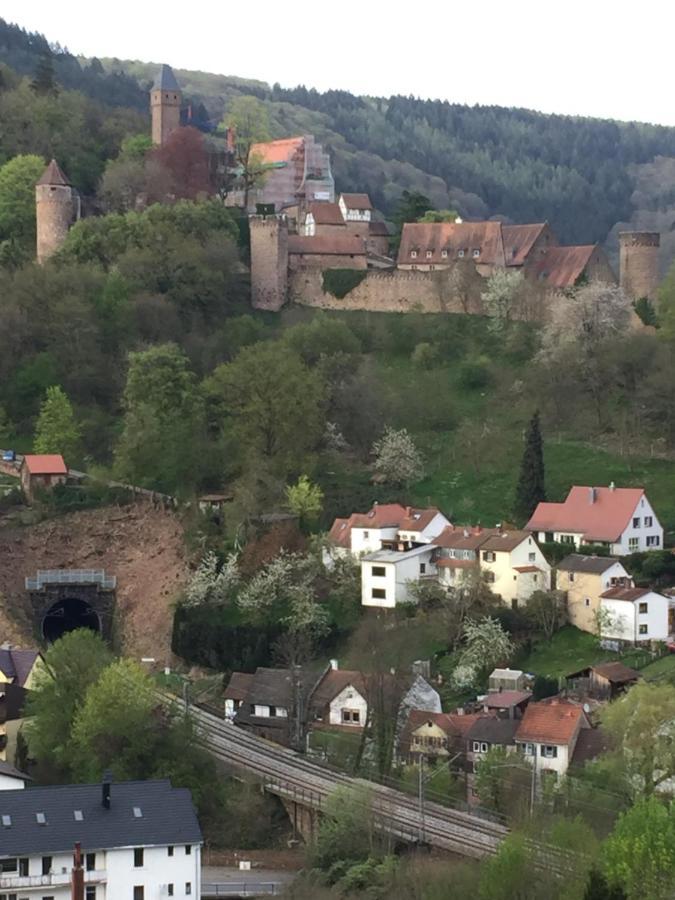 Neckarblick,Natur, Altstadt Hirschhorn Εξωτερικό φωτογραφία