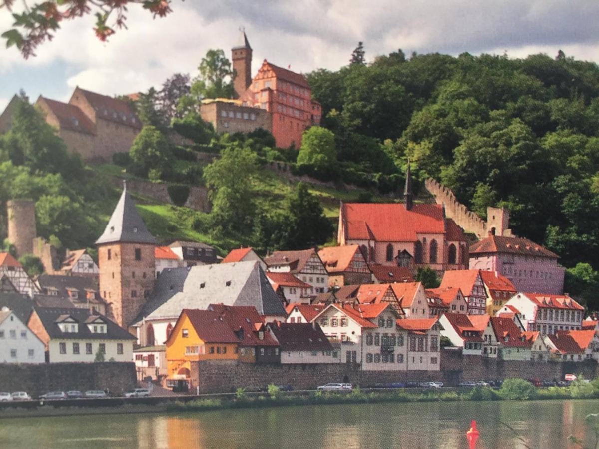 Neckarblick,Natur, Altstadt Hirschhorn Εξωτερικό φωτογραφία