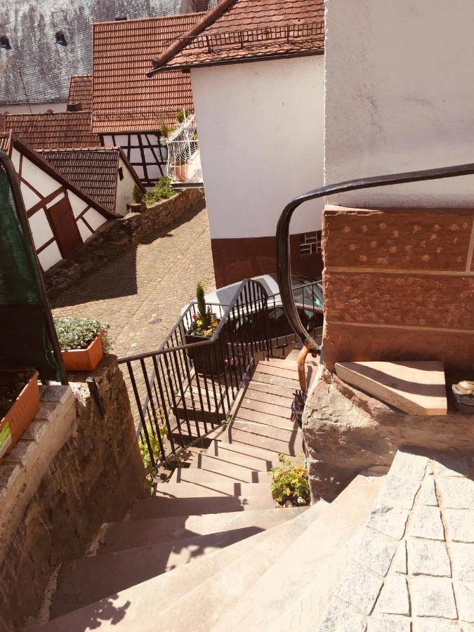 Neckarblick,Natur, Altstadt Hirschhorn Εξωτερικό φωτογραφία