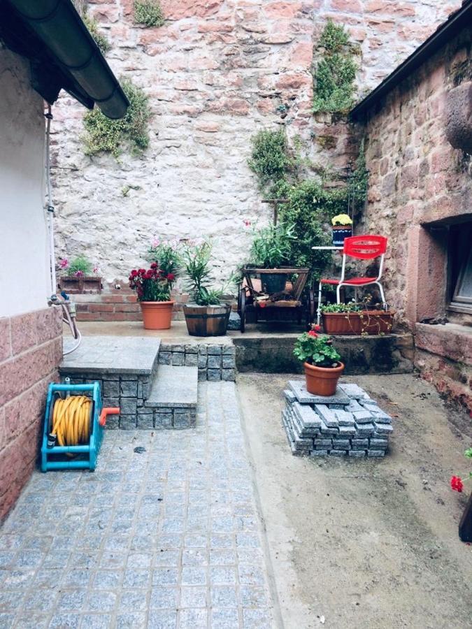 Neckarblick,Natur, Altstadt Hirschhorn Εξωτερικό φωτογραφία