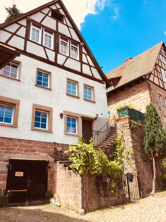 Neckarblick,Natur, Altstadt Hirschhorn Εξωτερικό φωτογραφία