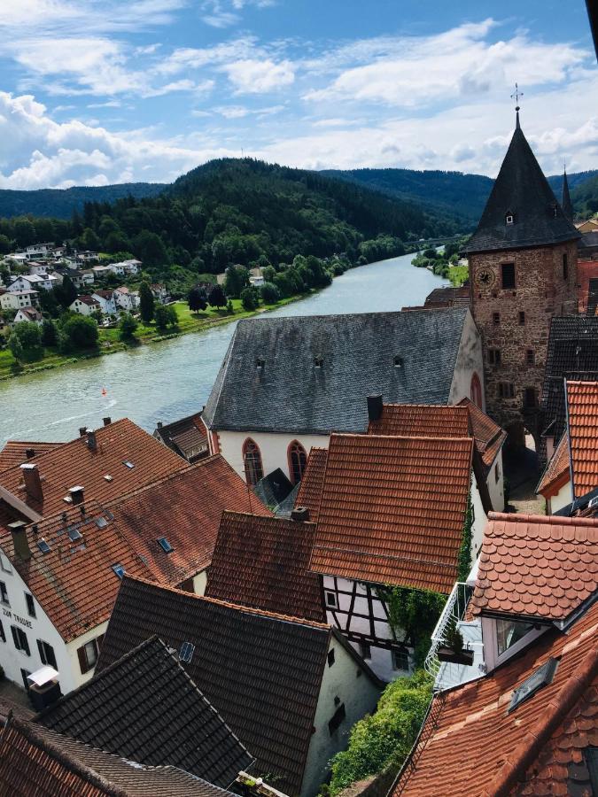 Neckarblick,Natur, Altstadt Hirschhorn Εξωτερικό φωτογραφία