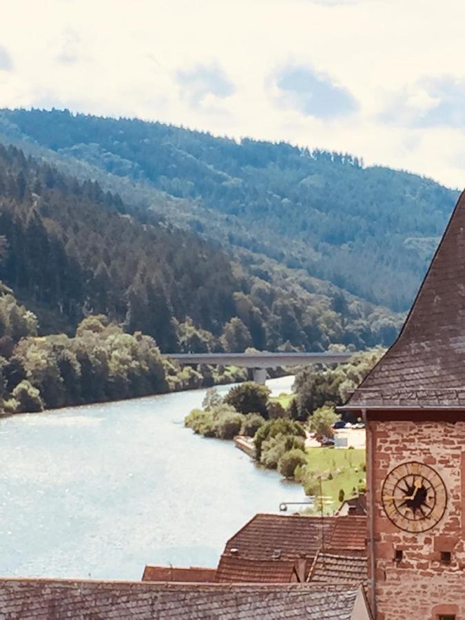 Neckarblick,Natur, Altstadt Hirschhorn Εξωτερικό φωτογραφία