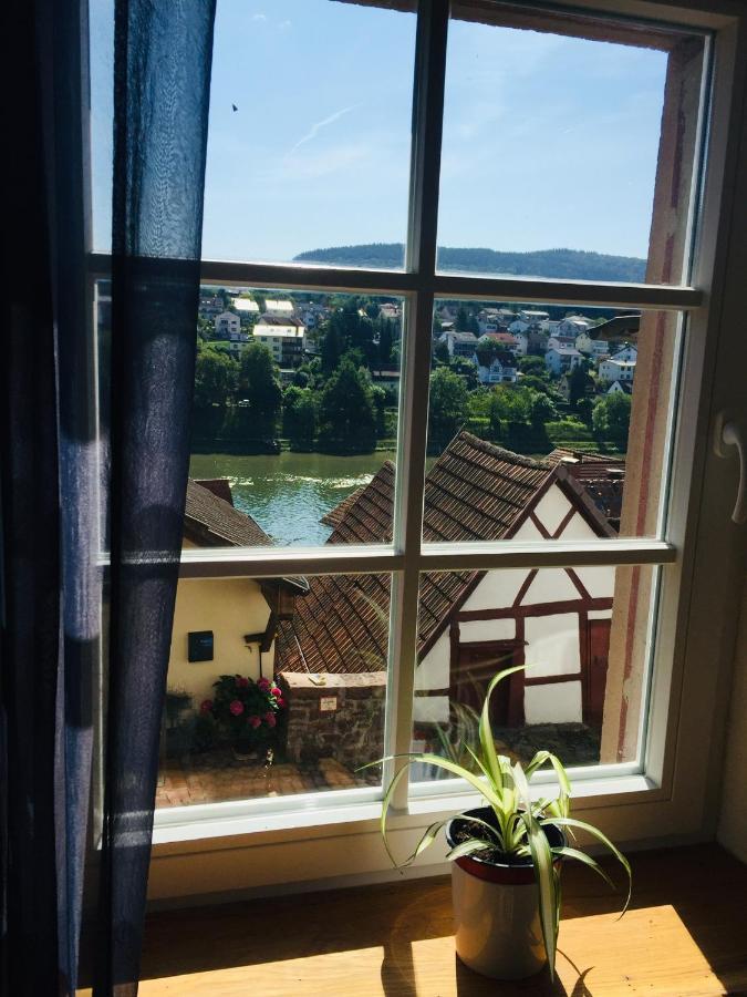 Neckarblick,Natur, Altstadt Hirschhorn Εξωτερικό φωτογραφία