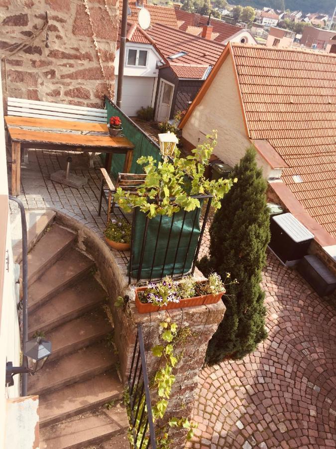 Neckarblick,Natur, Altstadt Hirschhorn Εξωτερικό φωτογραφία