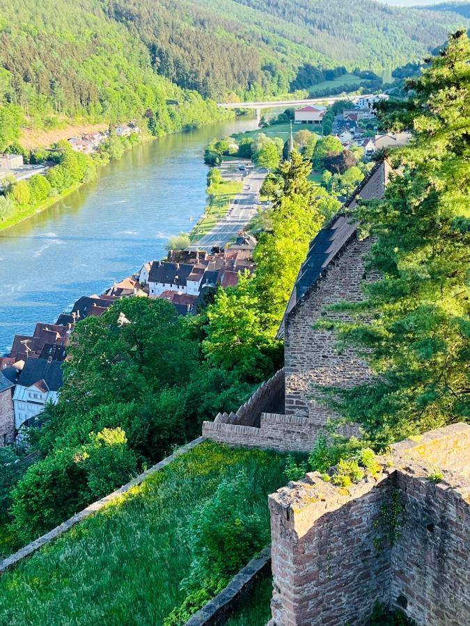 Neckarblick,Natur, Altstadt Hirschhorn Εξωτερικό φωτογραφία