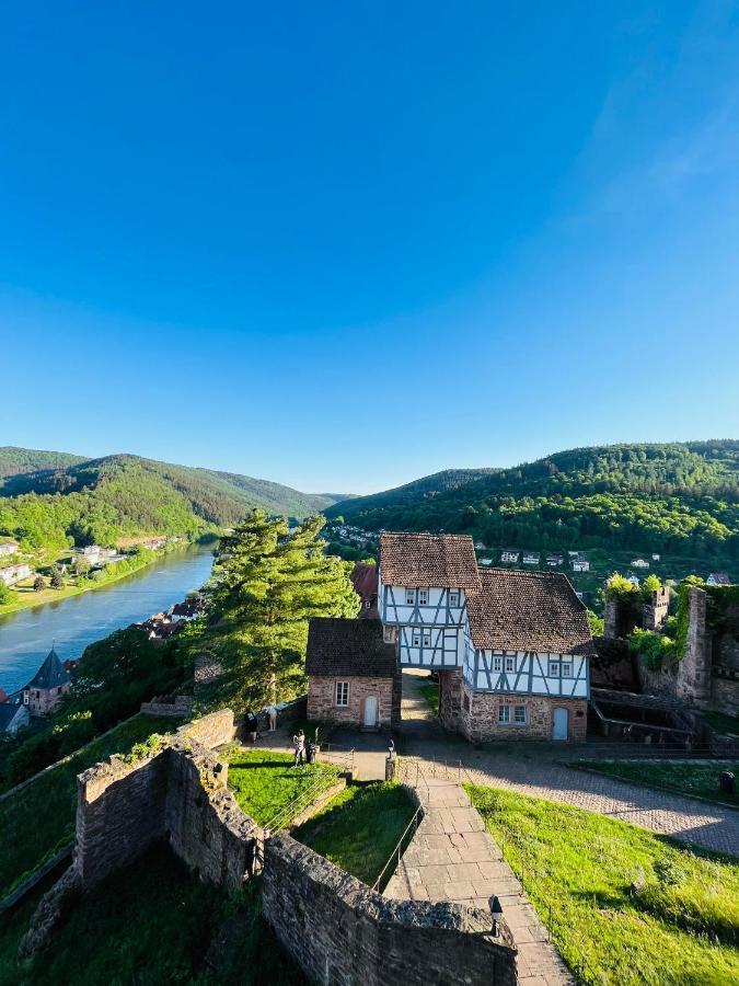 Neckarblick,Natur, Altstadt Hirschhorn Εξωτερικό φωτογραφία