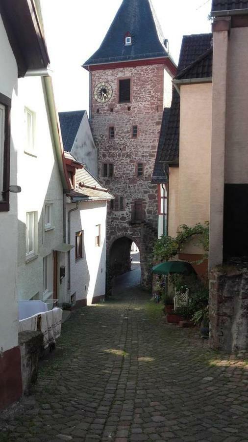 Neckarblick,Natur, Altstadt Hirschhorn Εξωτερικό φωτογραφία