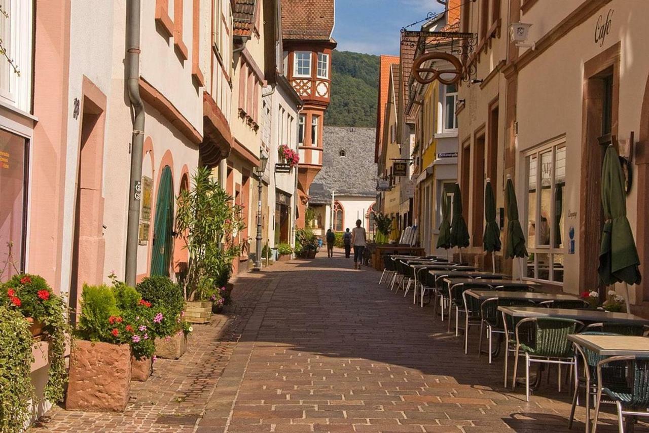 Neckarblick,Natur, Altstadt Hirschhorn Εξωτερικό φωτογραφία