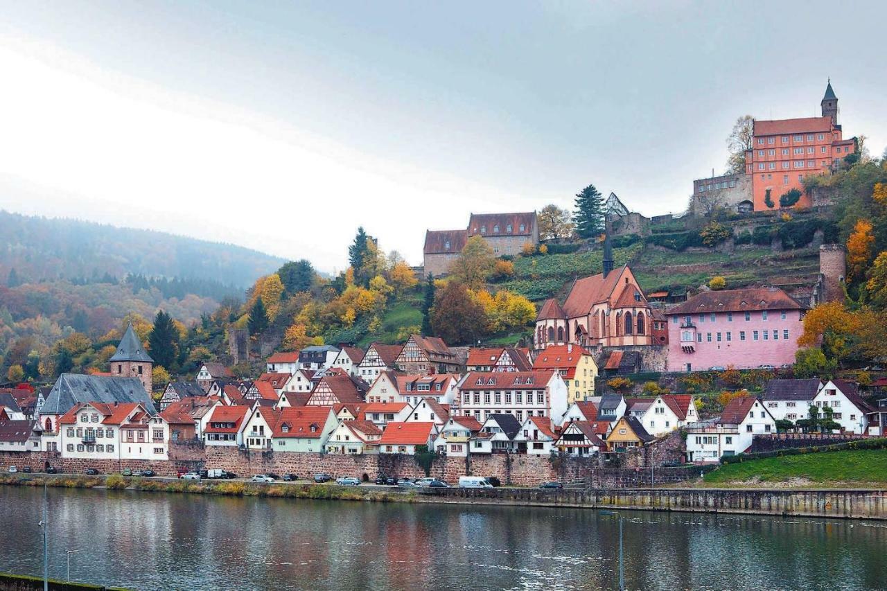 Neckarblick,Natur, Altstadt Hirschhorn Εξωτερικό φωτογραφία