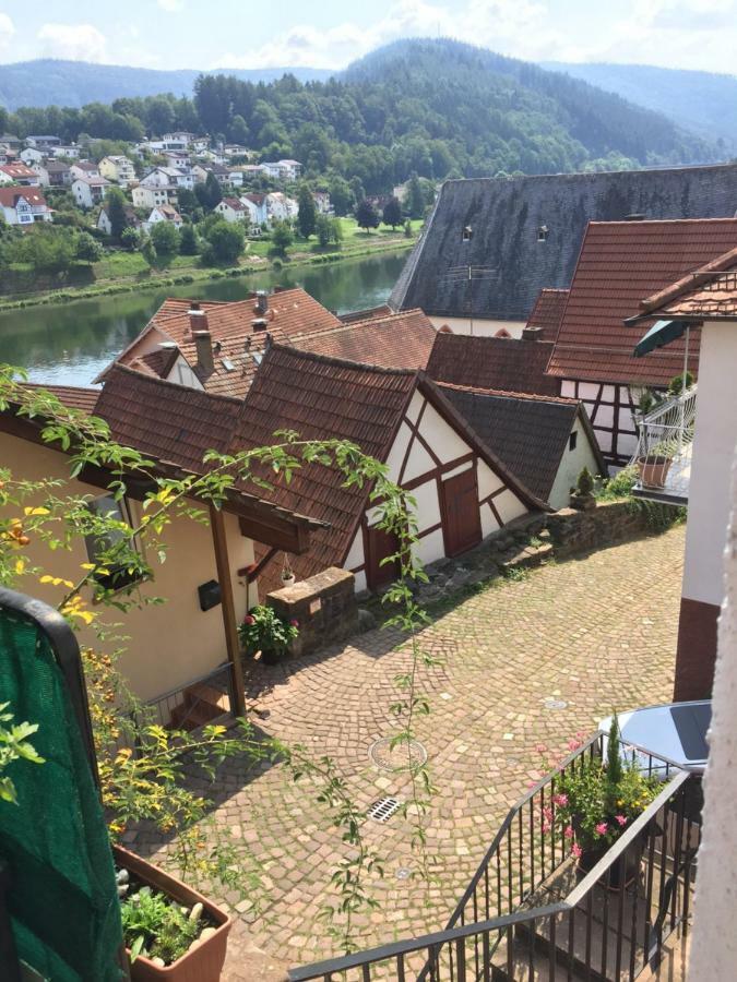 Neckarblick,Natur, Altstadt Hirschhorn Εξωτερικό φωτογραφία