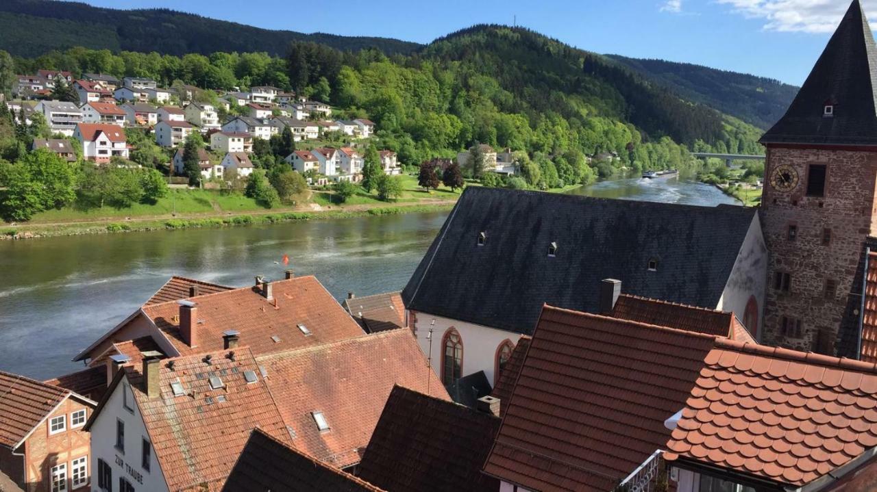 Neckarblick,Natur, Altstadt Hirschhorn Εξωτερικό φωτογραφία